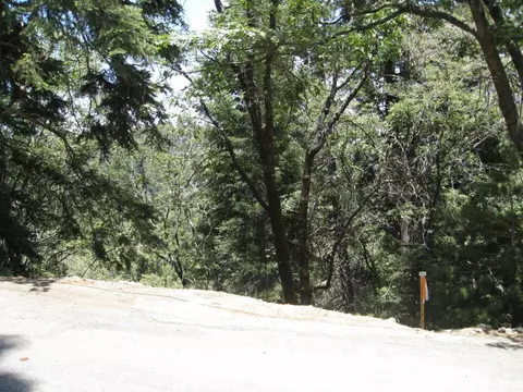0 Forest Ln, Twin Peaks, CA 92391