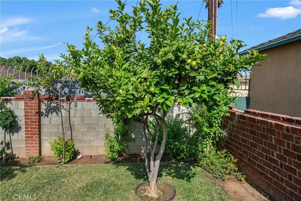 Exterior - 10229 S Van Ness Ave, Inglewood, CA 90303 photo 11 of 15