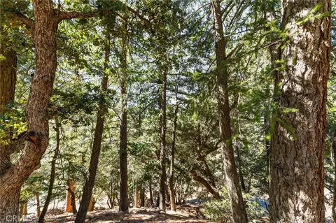 Exterior - 34 Manker Flts, Mt Baldy, CA 91759 photo 19 of 30