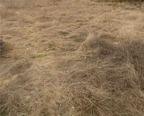 0 Vacvic, Llano, CA 93544