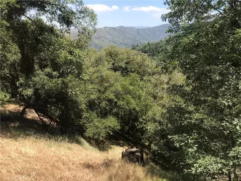 0 Buck Rd, Cedarpines Park, CA 92322