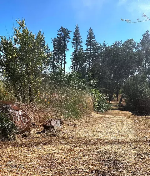 1318 Pearson Rd, Paradise, CA 95969 photo 5