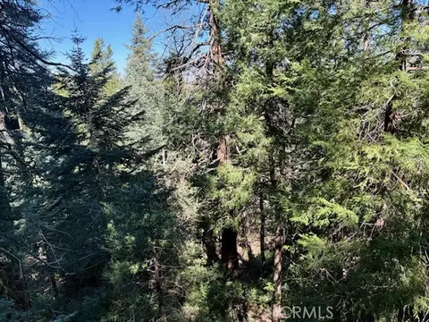 Other - 23992 Lakeview Dr, Crestline, CA 92325 photo 4 of 14