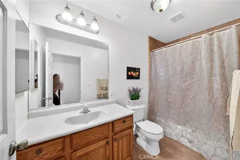 Bath - 1246 Locust, Pinon Hills, CA 92372 photo 3 of 5