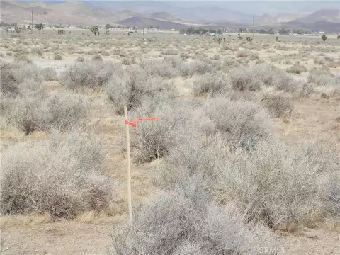 0 Gaskell Rd, Rosamond, CA 93560 photo 10