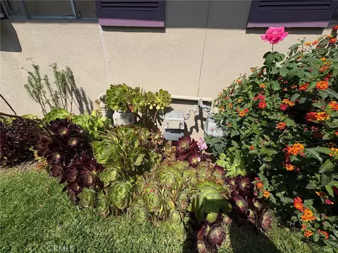 Exterior - 1908 E Rose Ave, Orange, CA 92867 photo 12 of 12