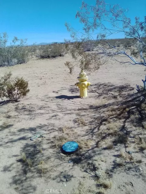 60784 Summers, Landers, CA 92285 photo 3