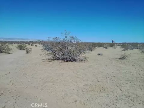 60820 Summers, Landers, CA 92285 photo 7