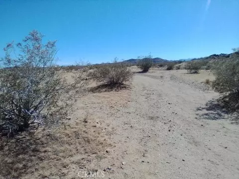 60820 Summers, Landers, CA 92285 photo 3