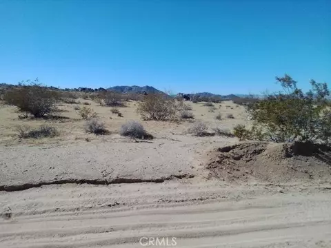 60820 Summers, Landers, CA 92285 photo 4