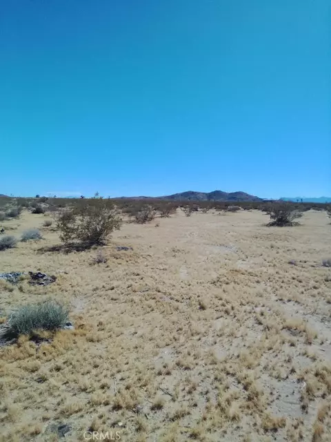 60731 Summers, Landers, CA 92285 photo 2