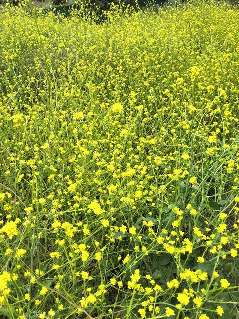 0 0, Val Verde, CA 91384