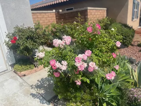 Exterior - 7561 Baerss Rd, Riverside, CA 92507 photo 9 of 11