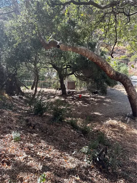 28552 Silverado Rd, Silverado, CA 92676 photo 7