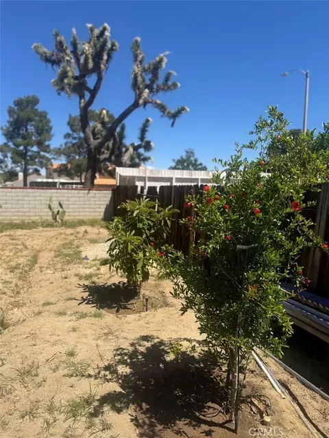 Exterior - 4855 Opal, Palmdale, CA 93552 photo 5 of 6
