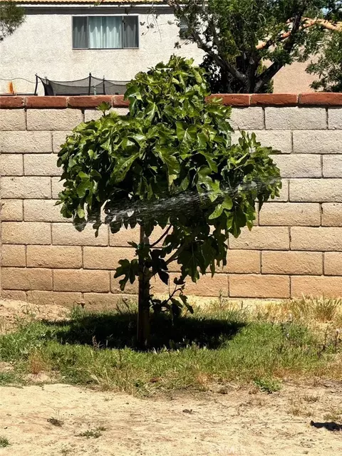 Exterior - 4855 Opal, Palmdale, CA 93552 photo 3 of 6