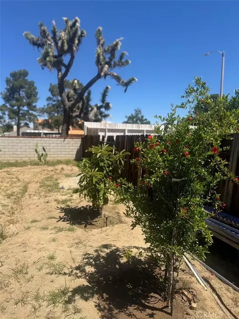 Exterior - 4855 Opal, Palmdale, CA 93552 photo 4 of 4