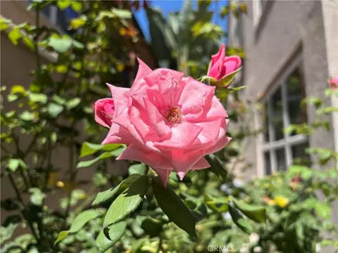 Exterior - 37 Peony, Irvine, CA 92618 photo 4 of 16