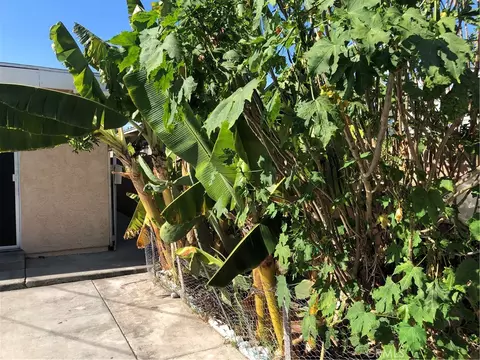Exterior - 1234 E Oak St, Anaheim, CA 92805 photo 4 of 7