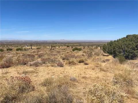 0 Vac Fort Tejon Drt Vic, Llano, CA 93544 photo 2