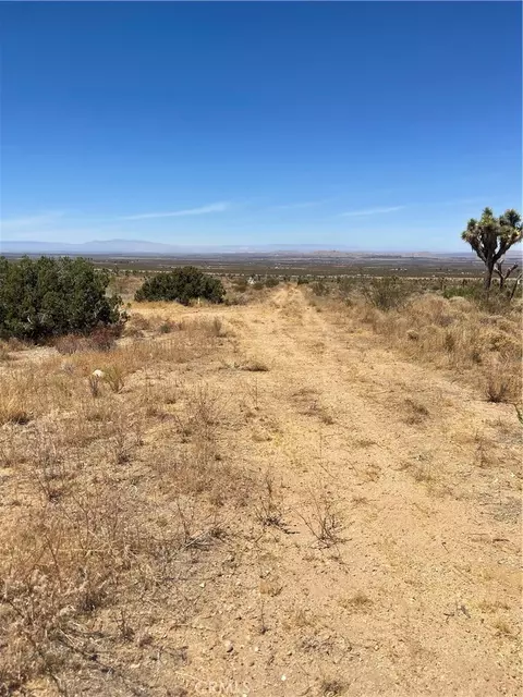 0 Vac Fort Tejon Drt Vic, Llano, CA 93544 photo 6