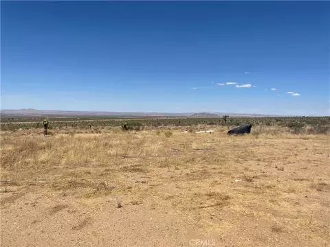 0 Vac Fort Tejon Drt Vic, Llano, CA 93544 photo 10