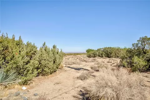 2142 Cbs Ln, Pinon Hills, CA 92372 photo 35
