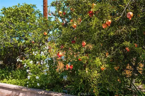 Exterior - 1209 E Walnut, Orange, CA 92867 photo 6 of 6