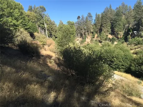 29776 Hook Crk, Cedar Glen, CA 92321 photo 2