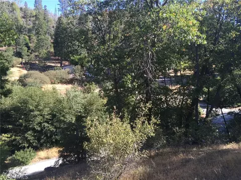 29776 Hook Crk, Cedar Glen, CA 92321 photo 5