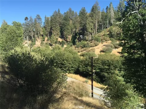 29776 Hook Crk, Cedar Glen, CA 92321 photo 4