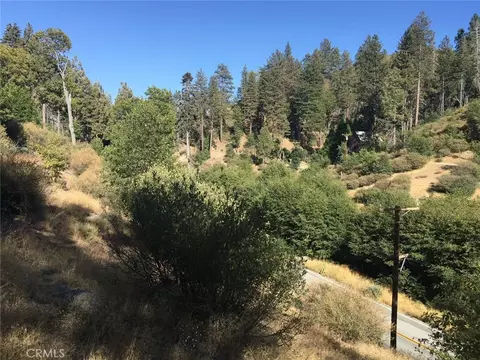 29776 Hook Crk, Cedar Glen, CA 92321 photo 3