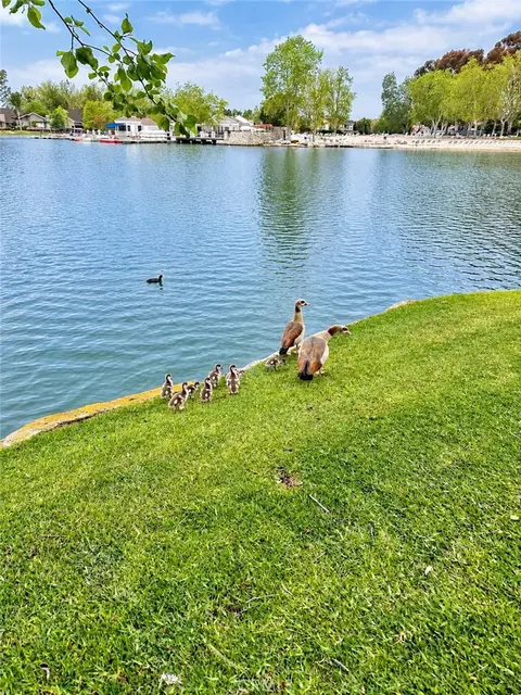 Other - 2 Greenleaf, Irvine, CA 92604 photo 6 of 6