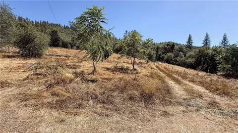 16125 Vierra Rd, Rackerby, CA 95972 photo 23