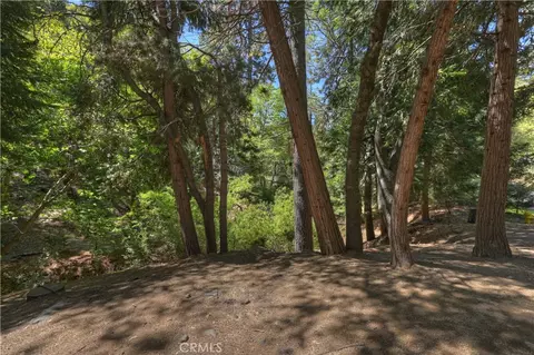 Exterior - 25005 Basel Dr, Crestline, CA 92325 photo 11 of 12
