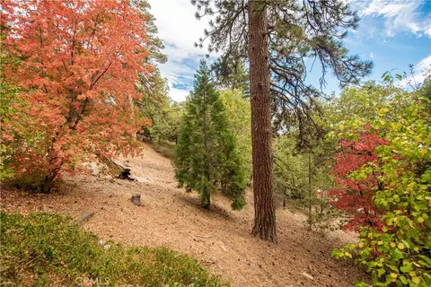 Exterior - 24 Fredalba, Running Springs, CA 92382 photo 8 of 8
