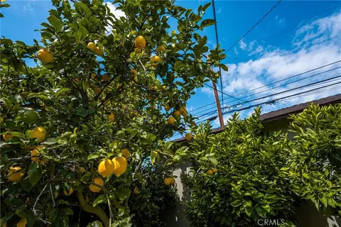 Exterior - 3915 Lime, Long Beach, CA 90807 photo 7 of 10