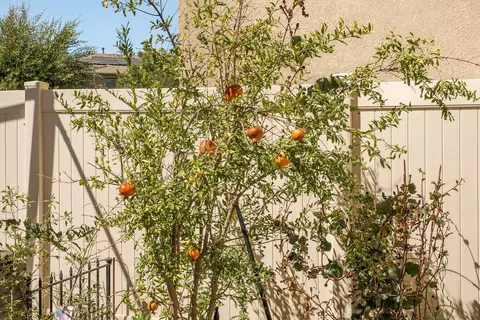 Exterior - 39099 Crown Ranch Rd, Temecula, CA 92591 photo 6 of 13