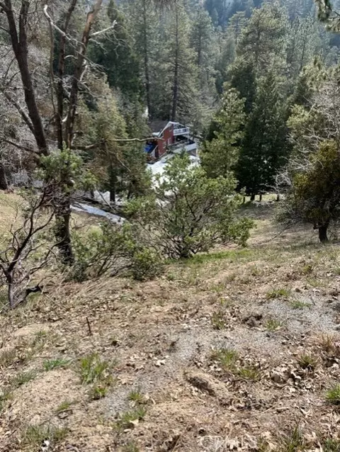 818 Berne, Crestline, CA 92391 photo 3