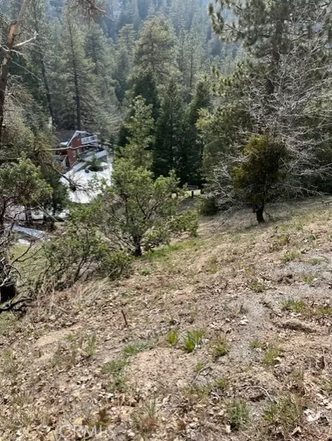 818 Berne, Crestline, CA 92391 photo 2