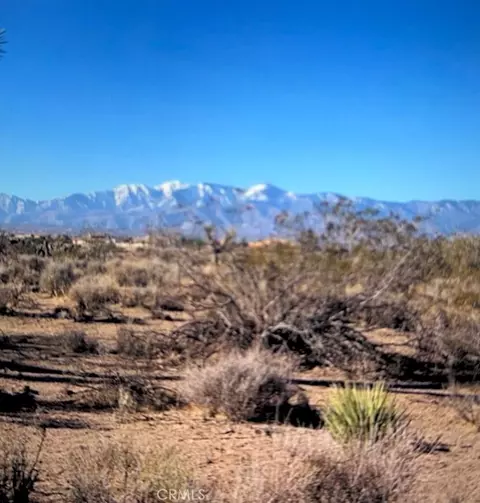 8888888 Smoketree, Hesperia, CA 92344