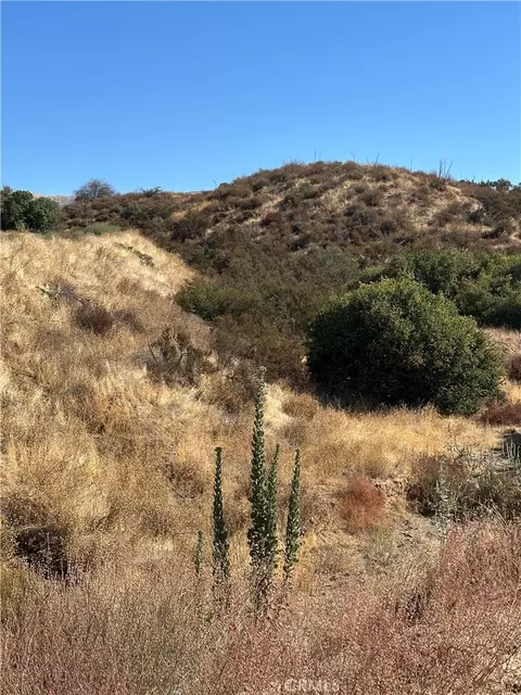 0 Koontz Rd, Agua Dulce, CA 91390