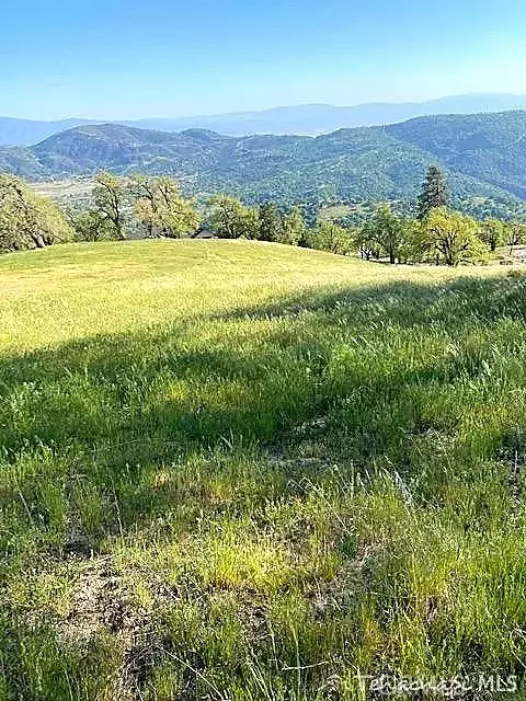 29580 Starland, Tehachapi, CA 93561 photo 7