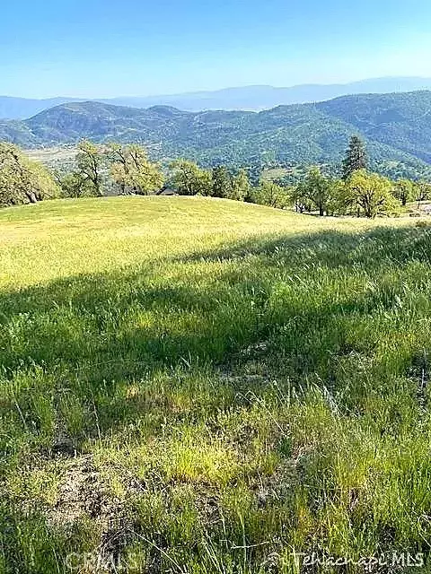 29580 Starland, Tehachapi, CA 93561 photo 4