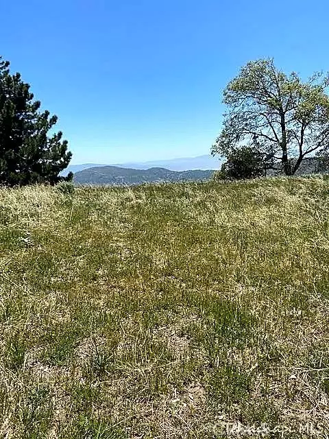 29580 Starland, Tehachapi, CA 93561 photo 6