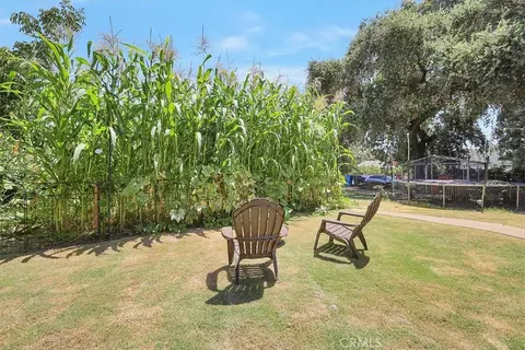 Exterior - 9834 N Live, Live Oak, CA 95953 photo 17 of 19