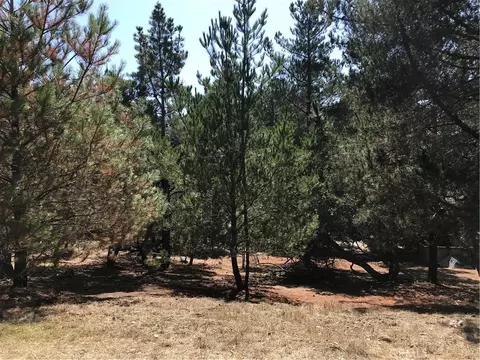 0 Tully Pl, Cambria, CA 93428 photo 6