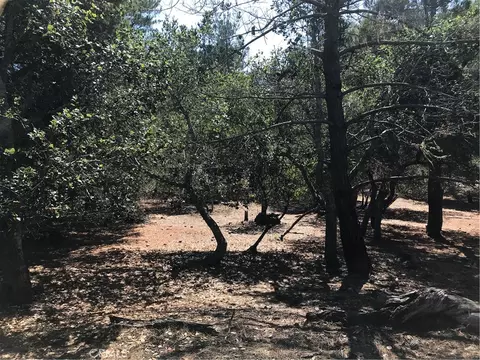 0 Tully Pl, Cambria, CA 93428 photo 2