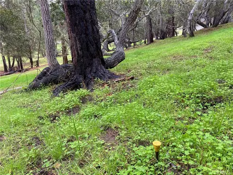 0 Kenneth, Cambria, CA 93428 photo 6