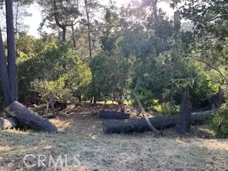 0 Bradford Rd, Cambria, CA 93428